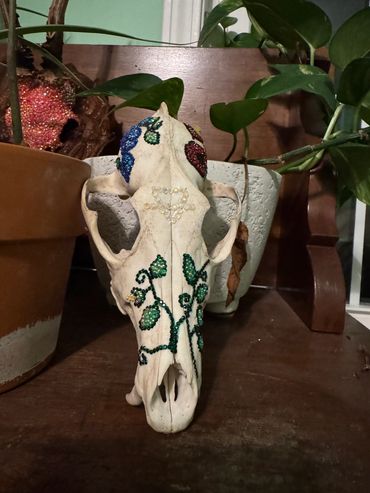 Earth in Summer: Coyote skull featuring hand-painted and jeweled florals