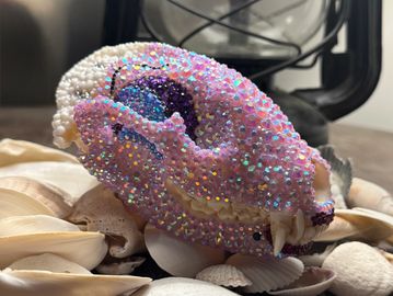 A small animal skull covered in iridescent glitter among seashells.