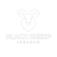 Black Sheep Iceland