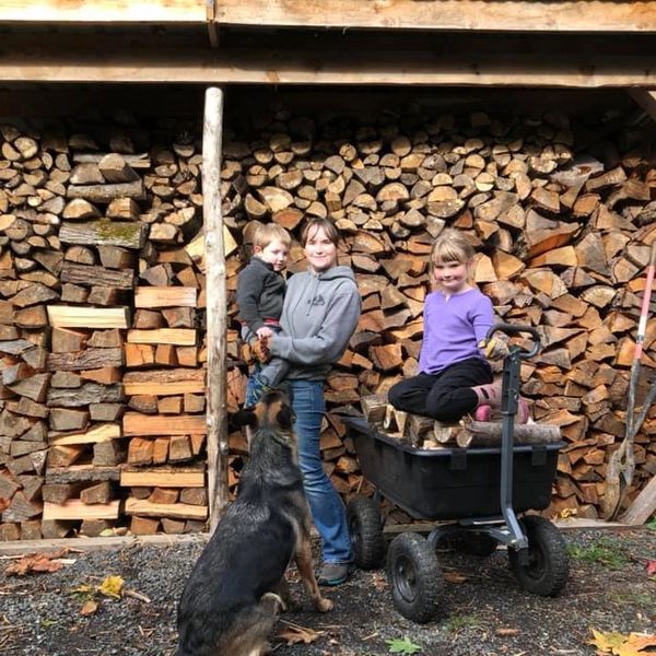 Tree Trimming, Tree Removal Tangled Roots Lynden, Washington