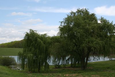 Stoney Creek Resort & Campground