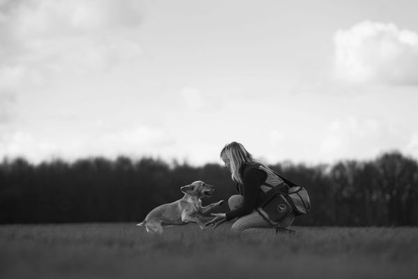 A woman plays with her dog in a field under a cloudy sky.
