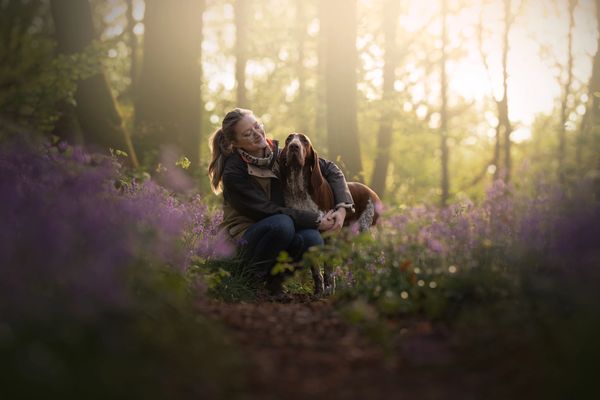 A woman lovingly embraces her dog in a sunlit forest with purple flowers.