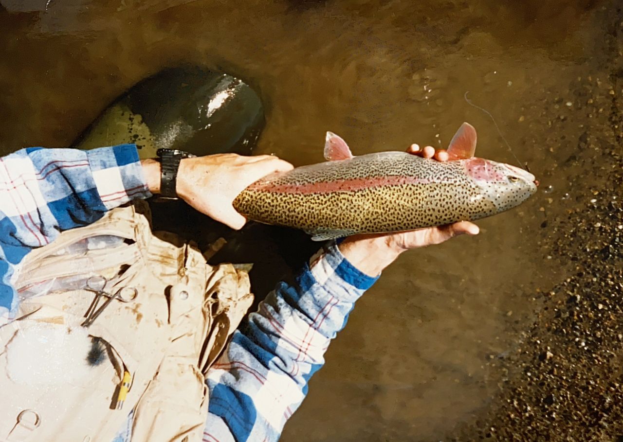 Rainbow Trout Fishing Trip Alaska