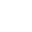 Profile Elite Transport 