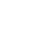 Profile Elite Transport 