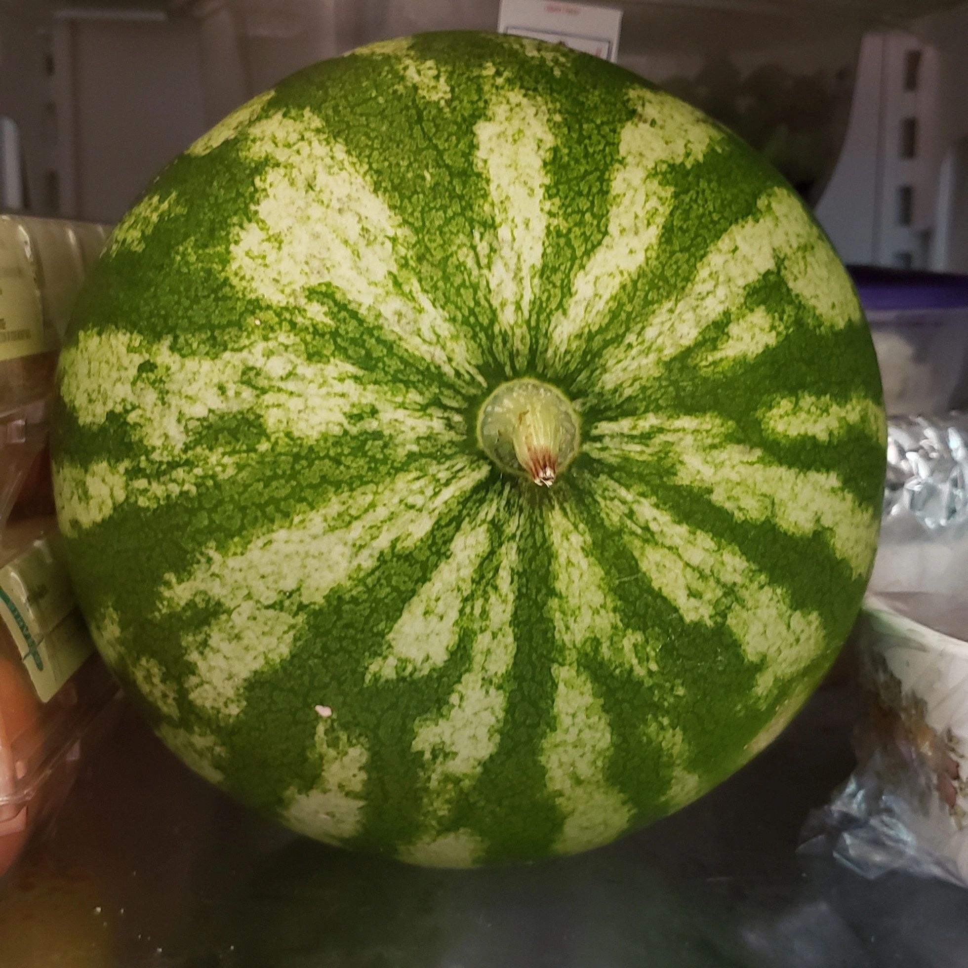 8. Sweetest Baby: Watermelon Bubble Bodysuit Reveal - nk9snlt