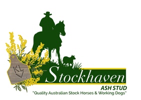 Stockhaven Australian Stock Horses