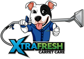 Xtrafresh carpet care Doncaster 