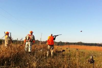 Little "q" Ranch Guided Quail Hunts