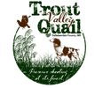 Quail hunting in Tallahatchie County