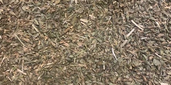 Fine harvested fresh catnip from Premium Dicks catnip