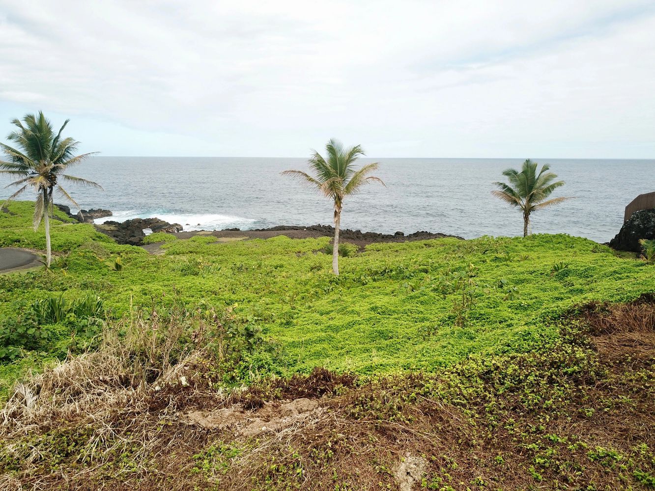 image67