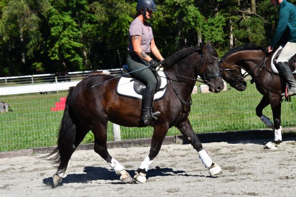 Person riding a horse in an outdoor arena.