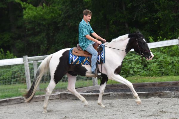 A young boy rides a black and white horse outdoors.