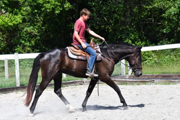 Boy riding a horse in an outdoor arena.