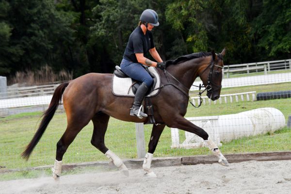 Person horseback riding with safety gear in an outdoor arena.