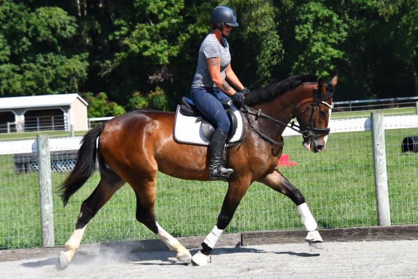 Person riding a horse in an outdoor arena.