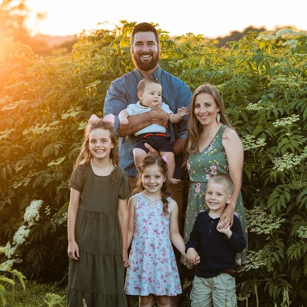 Fresh Frozen Elderberries the King's Ridge Elderberries