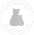 Northeast Ohio Cat Rescue 
