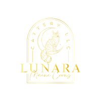 LUNARA MAINECOONS CATTERY LLC