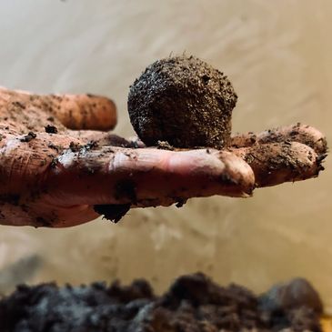 Hands holding a dirt-covered soil ball outdoors.