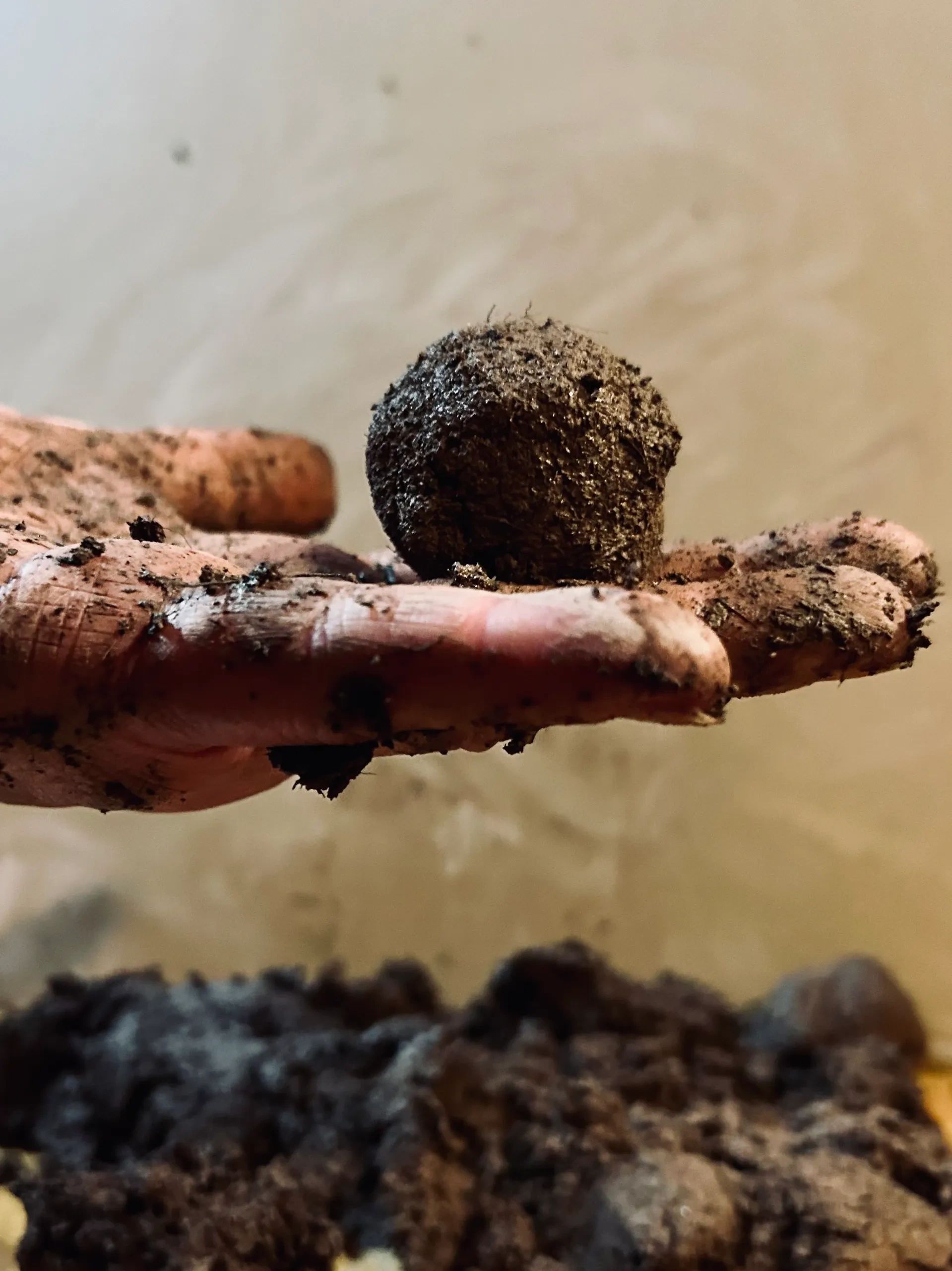 A closer look at Sustainable Gardening Supplies