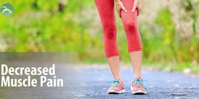 Leg pain