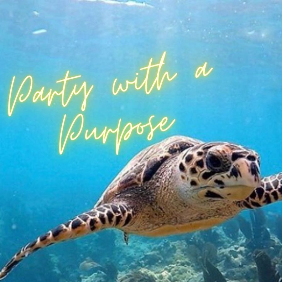 Sea turtle in coral reef for Party with a Purpose