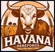 Havana Herefords