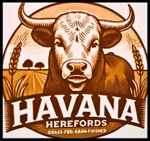 Havana Herefords