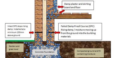 Rising damp explanation