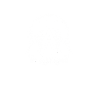 Elevate Empower Agency