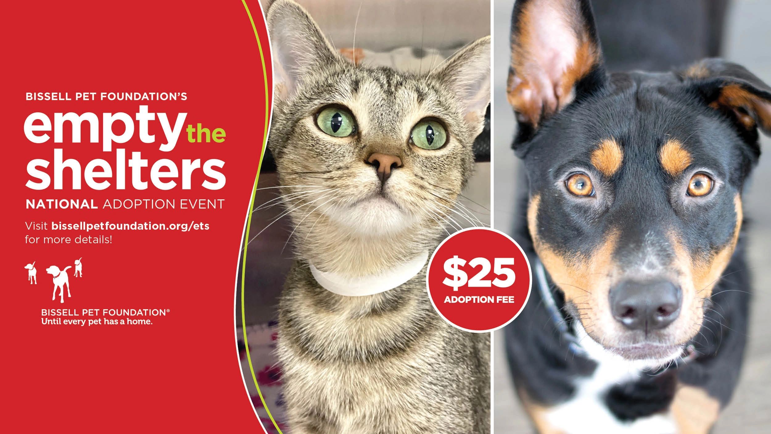 Blackfoot Animal Shelter & Rescue - Animal, Rescue