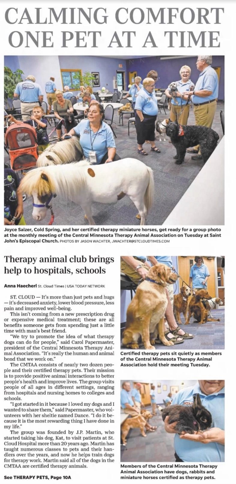 Calming Comfort One Pat At A Time news article about CMTAA