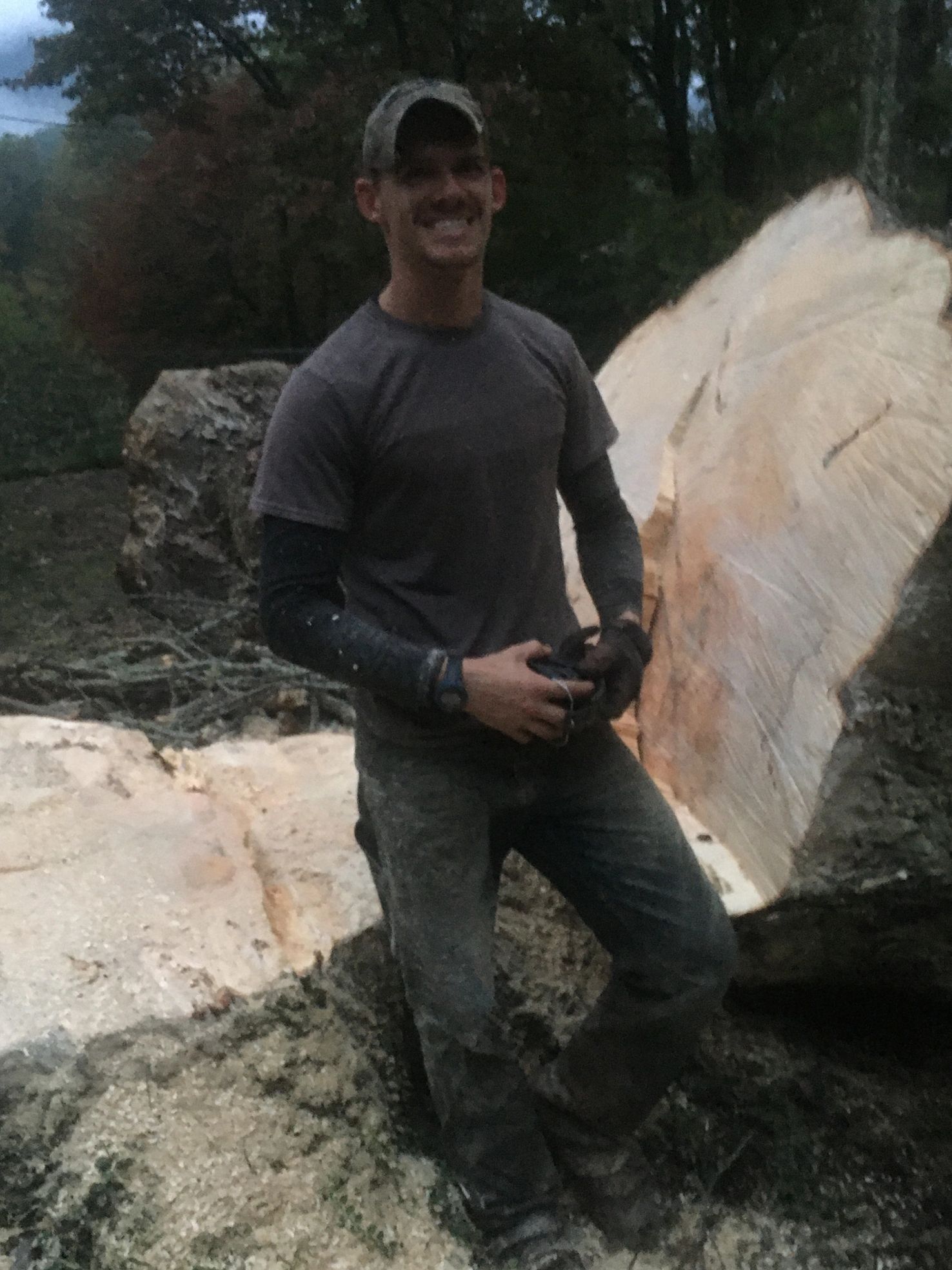 64” maple tree removal 