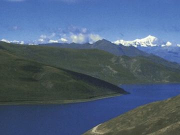 Indigenous Tibetan Medicine Gyudshi