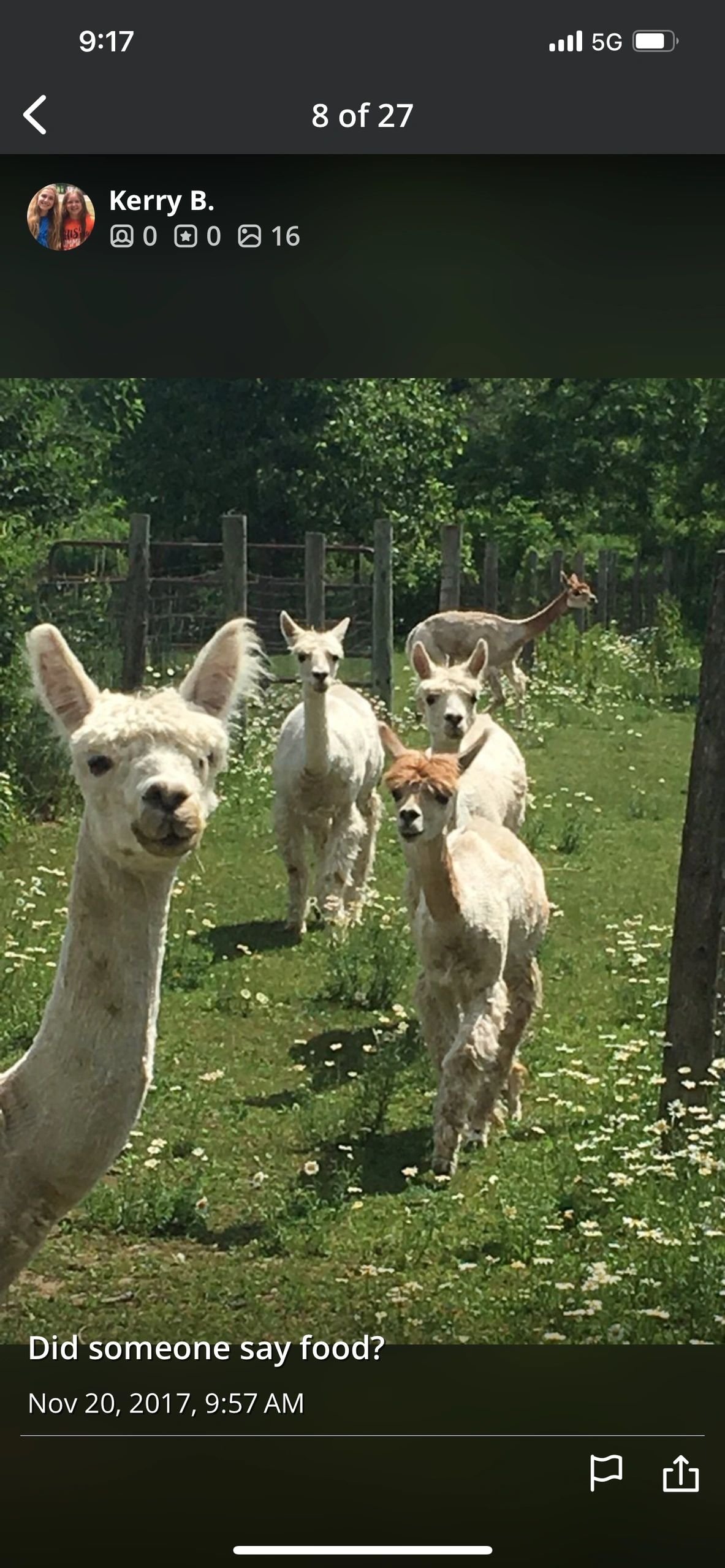 The Temptation of the Thicket