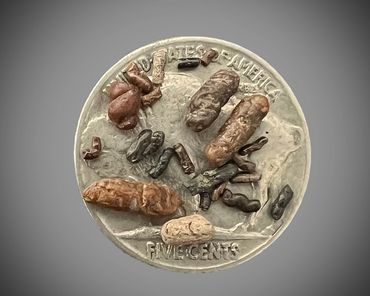 The smallest coprolites 