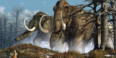 Two mammoths on the tundra not in Richmond, Tasmania, Australia