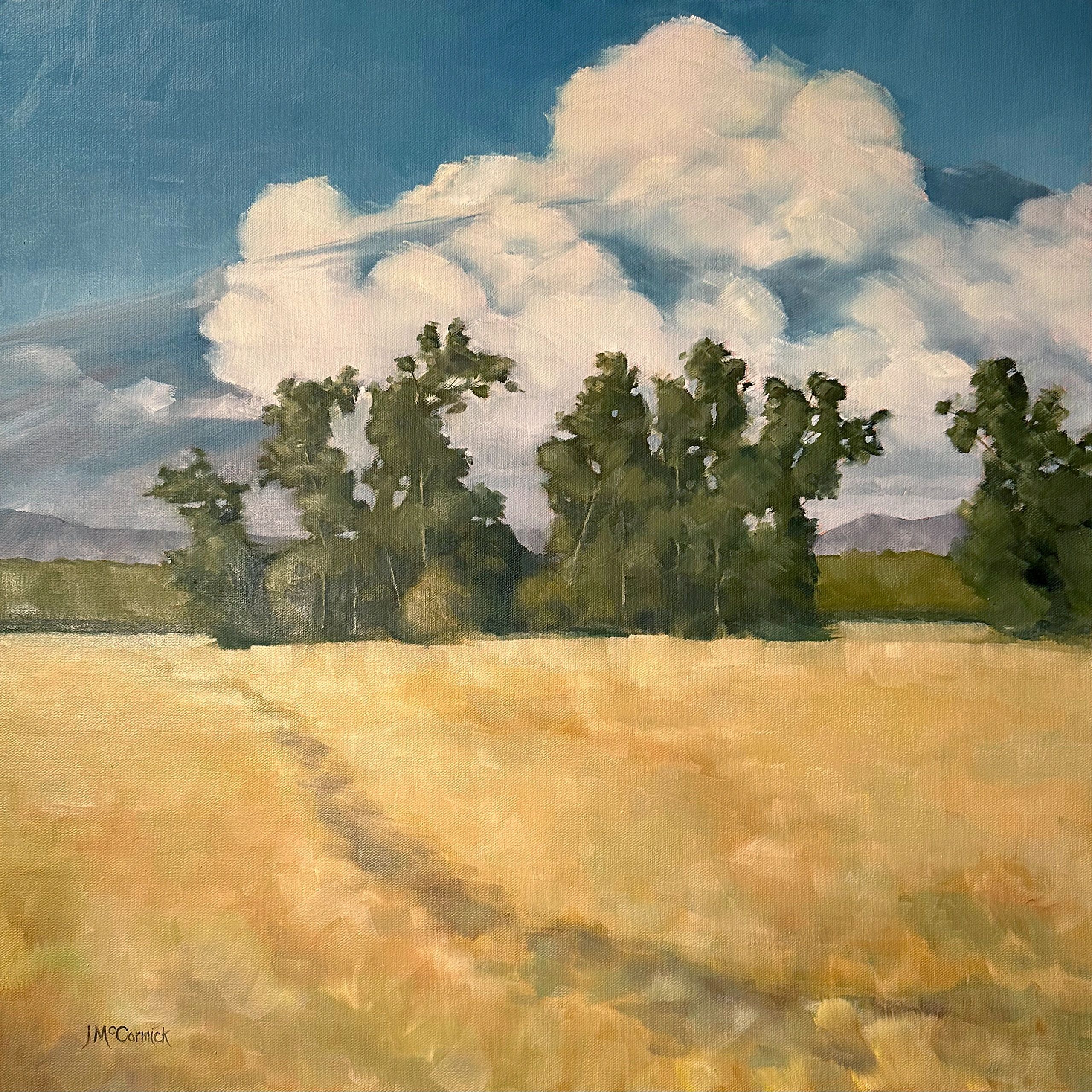 Windbreak, South of Red Bluff