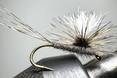 Cree Adams Parachute 