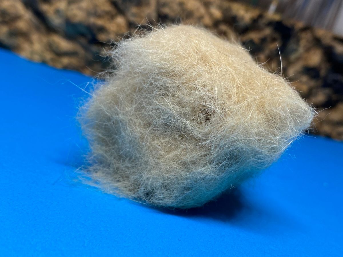 Magpie Materials Australian Possum