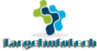 TARGET INFOTECH