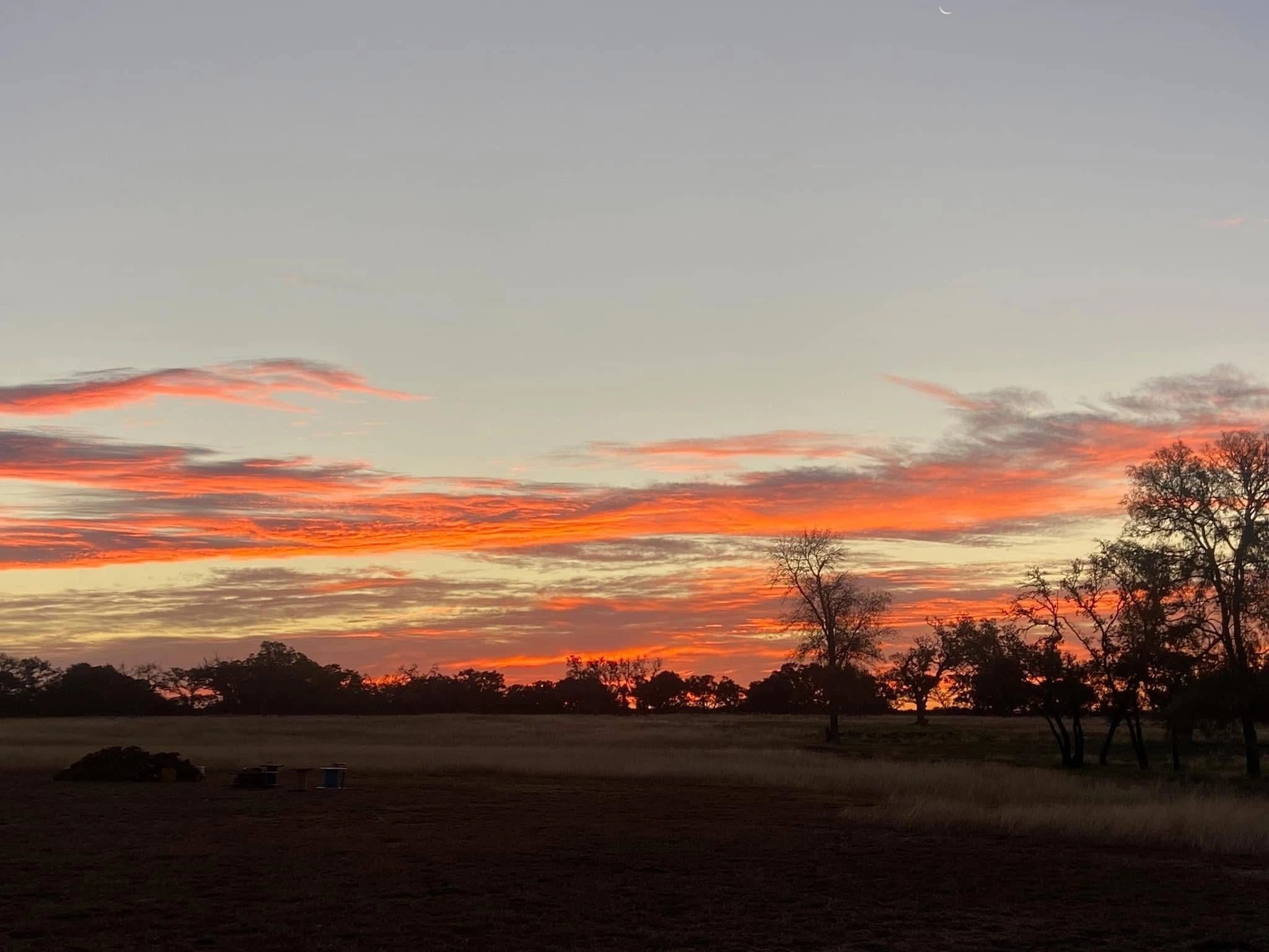 CJ Robins RV Retreat In Bandera, TX