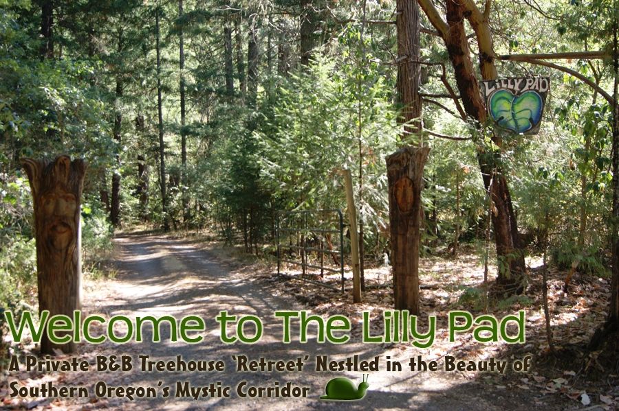 thelillypadretreet.com