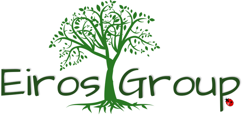 Eiros Group's Logo