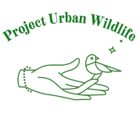 project
urban
wildlife