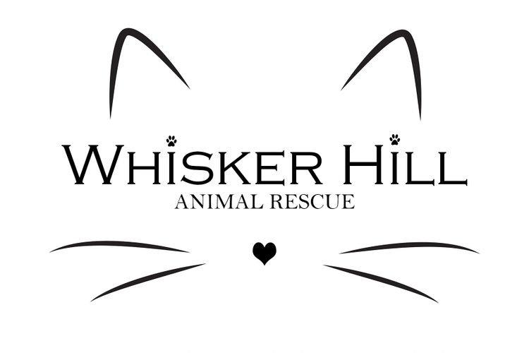 Whisker rescue 2024