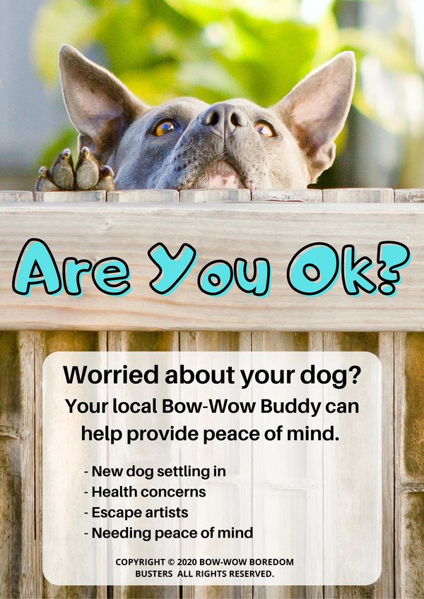 Doggy boredom busters, AWL